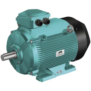 LV motor