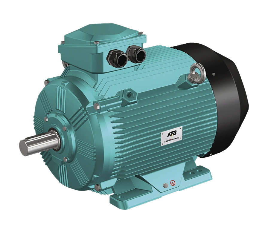 LV motor
